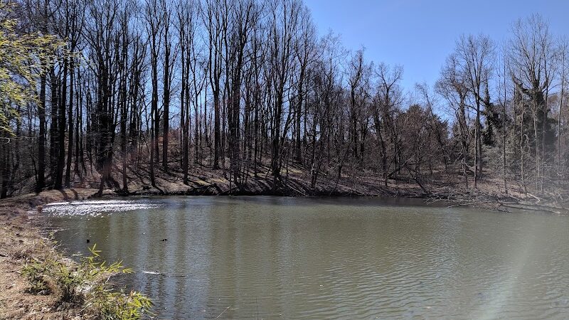 Friendship Pond Park - Friendship, MD
