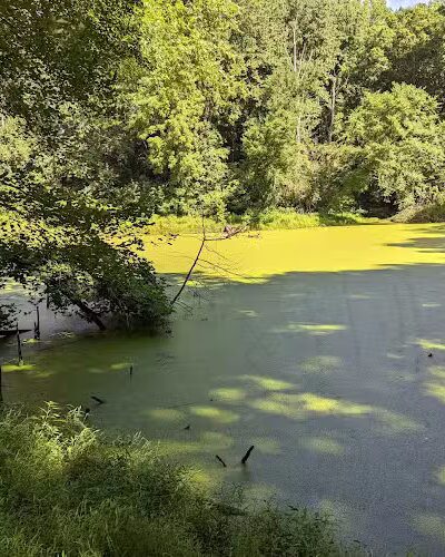 Friendship Pond Park - Friendship, MD