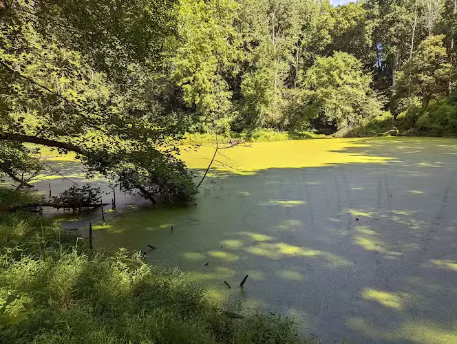 Friendship Pond Park - Friendship, MD