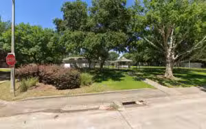 Wedgewood Village Dog Park - Friendswood, TX