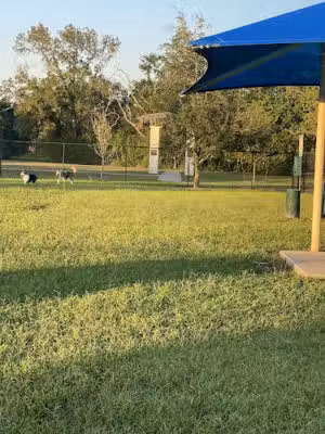 Friendswood Dogsafe Park - Friendswood, TX