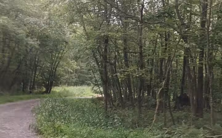 St Johns Rock Parking and Picnic Area - Frostburg, MD