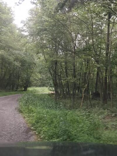 St Johns Rock Parking and Picnic Area - Frostburg, MD