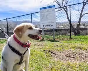 Fruita Bark Park - Fruita, CO