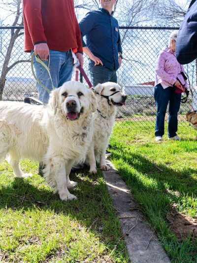Fruita Bark Park - Fruita, CO