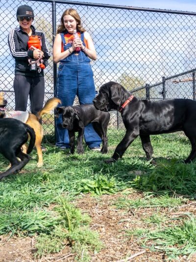 Fruita Bark Park - Fruita, CO