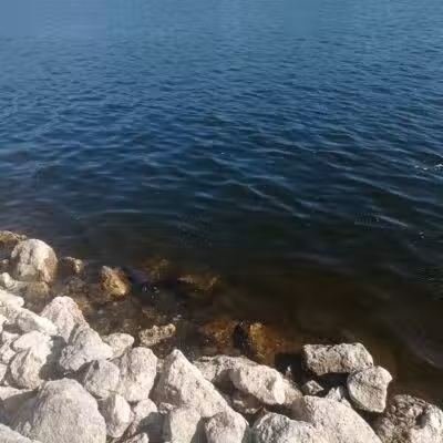 8th Avenue Park - Fruitport,
