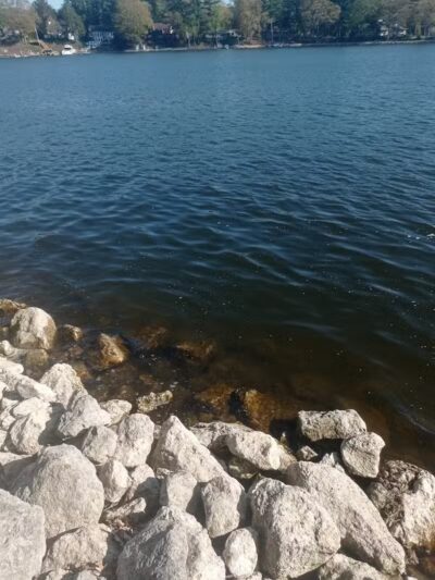 8th Avenue Park - Fruitport,