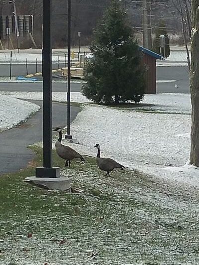 Pomona Park - Fruitport,