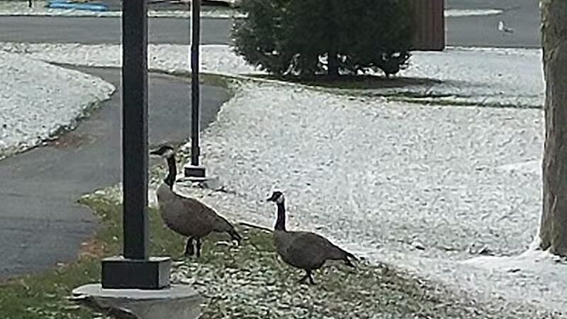 Pomona Park - Fruitport,