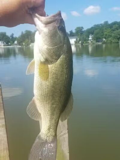 Pomona Park - Fruitport,