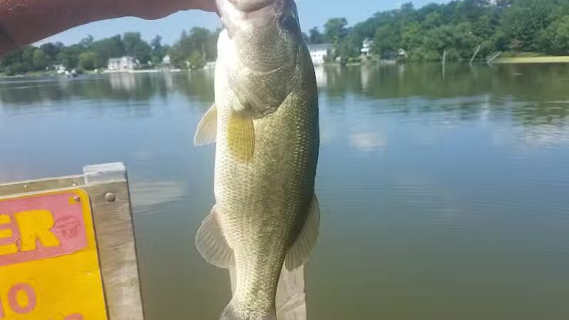 Pomona Park - Fruitport,