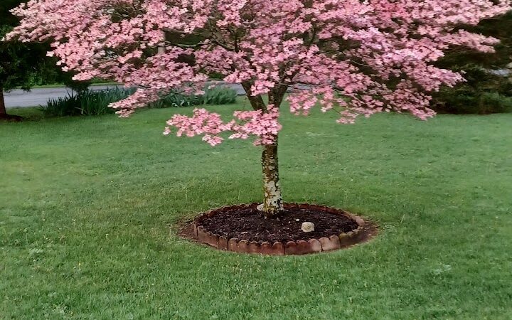 Fulks Run - Fulks Run, VA