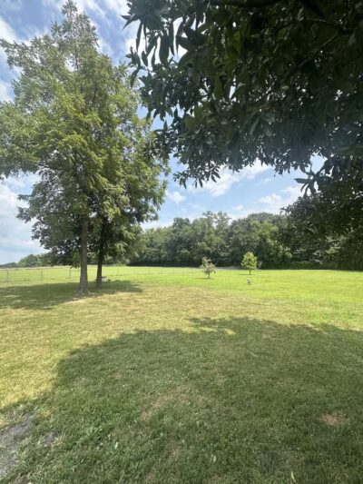 Fulton Dog Park - Fulton, MO