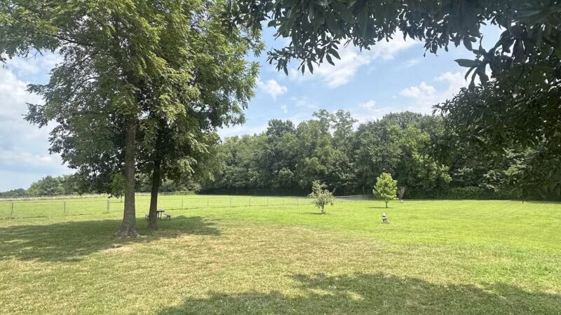 Fulton Dog Park - Fulton, MO