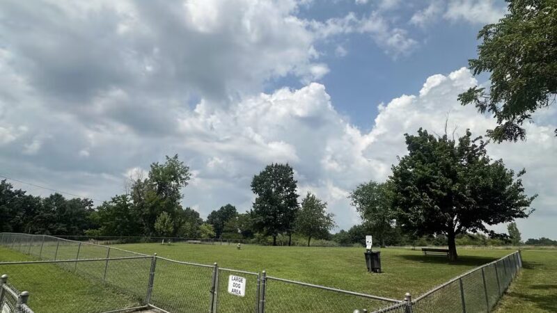 Fulton Dog Park - Fulton, MO