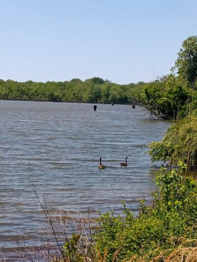 James D. Martin Wildlife Park - Gadsden, AL