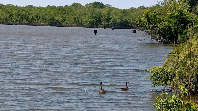 James D. Martin Wildlife Park - Gadsden, AL