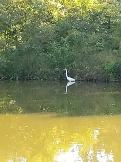 James D. Martin Wildlife Park - Gadsden, AL