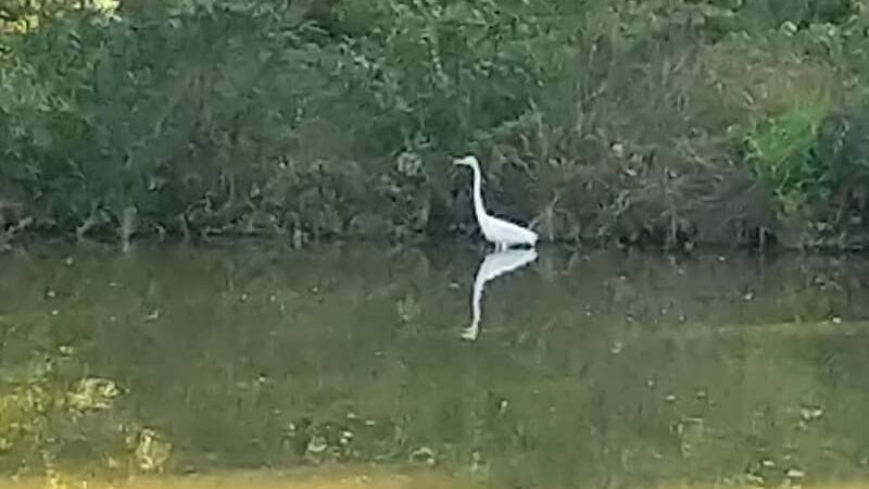 James D. Martin Wildlife Park - Gadsden, AL