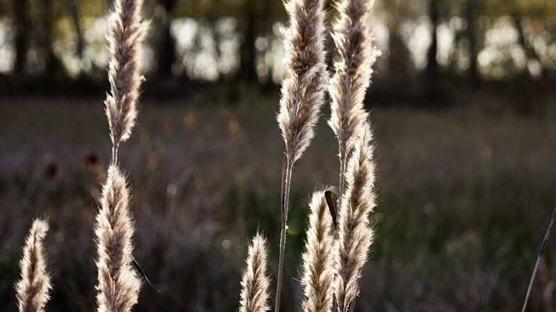 James D. Martin Wildlife Park - Gadsden, AL