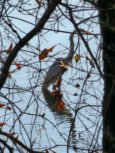 James D. Martin Wildlife Park - Gadsden, AL