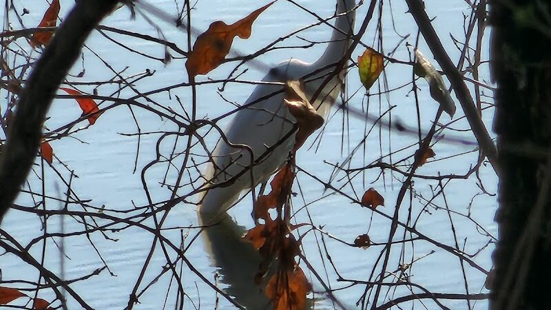 James D. Martin Wildlife Park - Gadsden, AL
