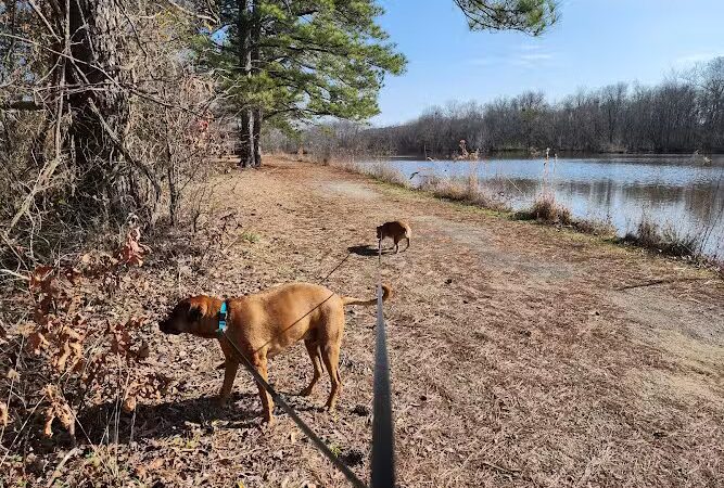 James D. Martin Wildlife Park - Gadsden, AL