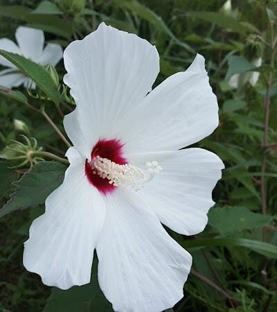 The James D. Martin Wildlife Park - Gadsden, AL