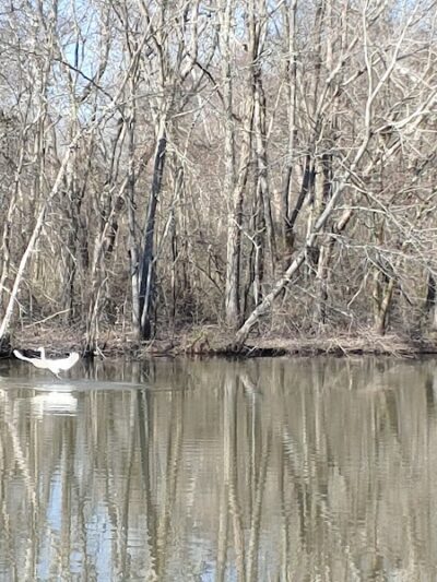 The James D. Martin Wildlife Park - Gadsden, AL