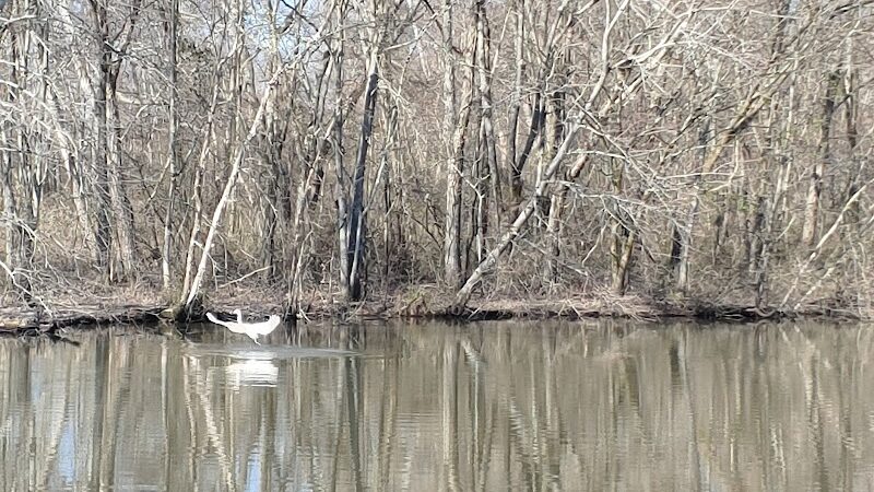 The James D. Martin Wildlife Park - Gadsden, AL