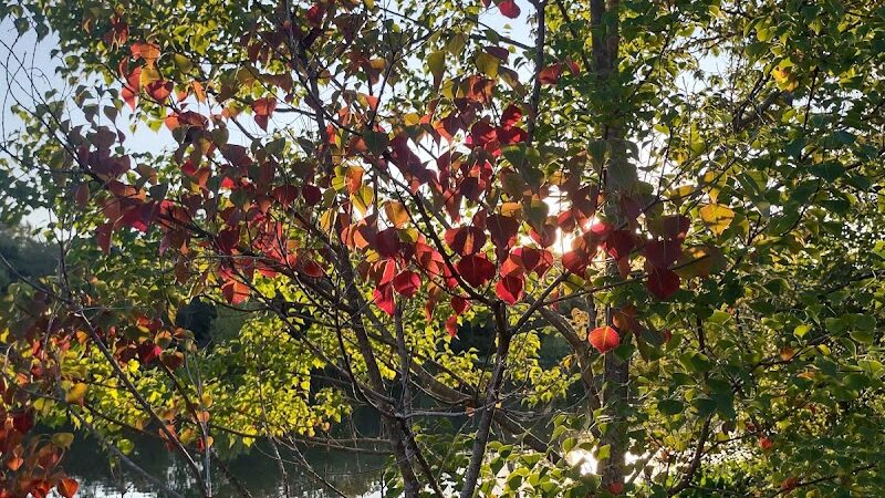 The James D. Martin Wildlife Park - Gadsden, AL