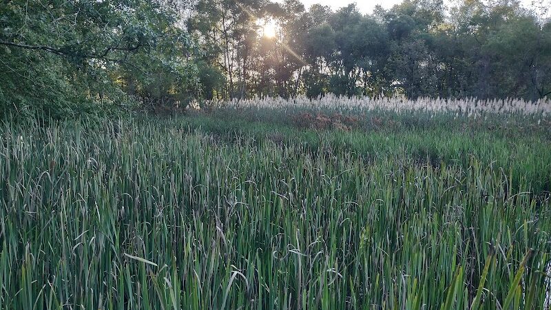 The James D. Martin Wildlife Park - Gadsden, AL