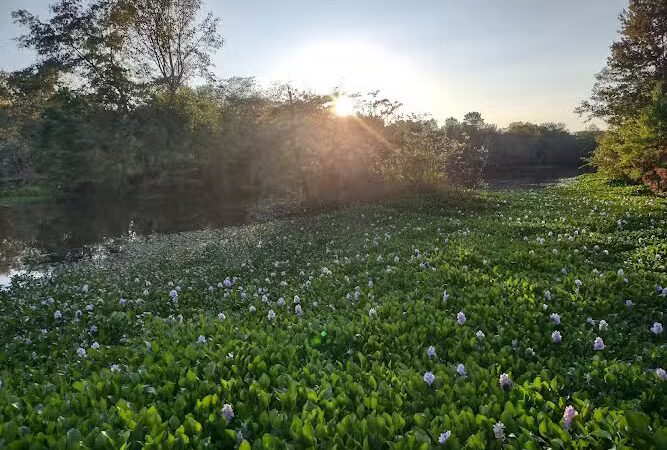 The James D. Martin Wildlife Park - Gadsden, AL