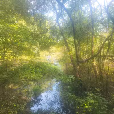 The James D. Martin Wildlife Park - Gadsden, AL