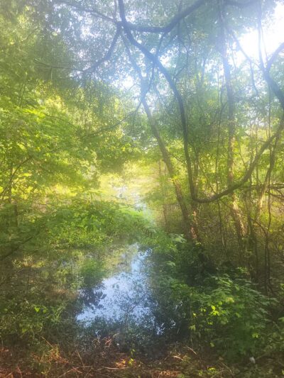 The James D. Martin Wildlife Park - Gadsden, AL