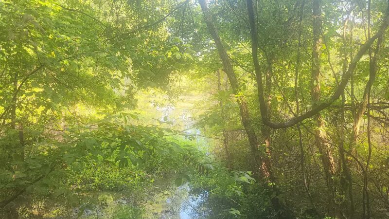 The James D. Martin Wildlife Park - Gadsden, AL