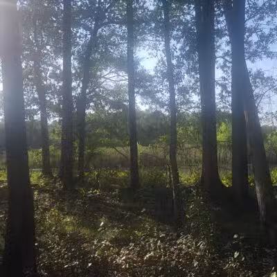 The James D. Martin Wildlife Park - Gadsden, AL