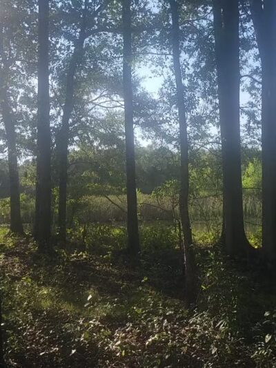 The James D. Martin Wildlife Park - Gadsden, AL