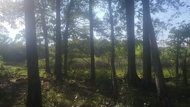 The James D. Martin Wildlife Park - Gadsden, AL