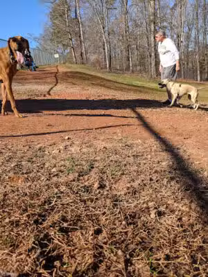 Laurel Bark Park - Gainesville, GA