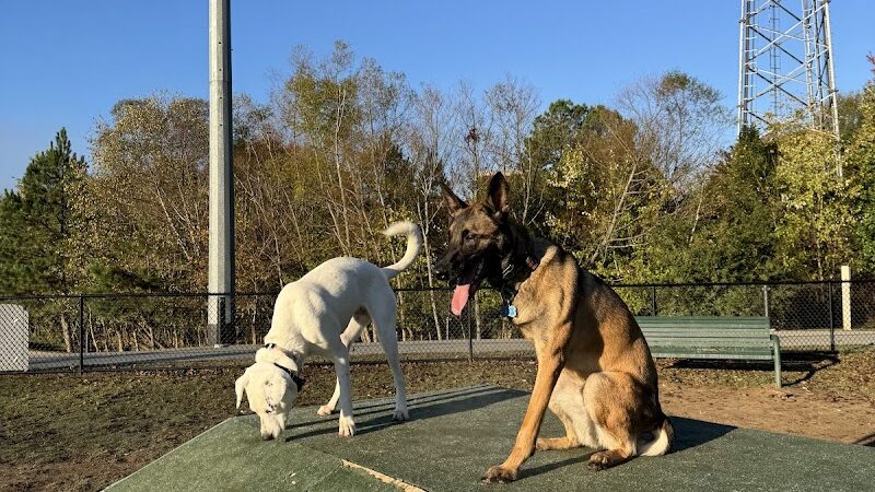 Midland Dog Park - Gainesville, GA