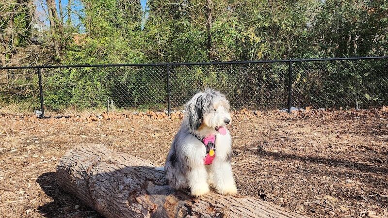 Midland Dog Park - Gainesville, GA