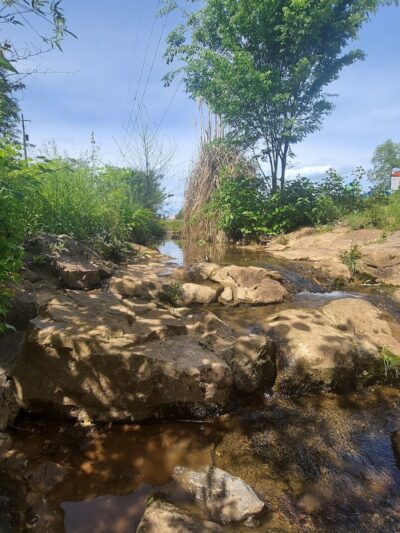 Midland Dog Park - Gainesville, GA