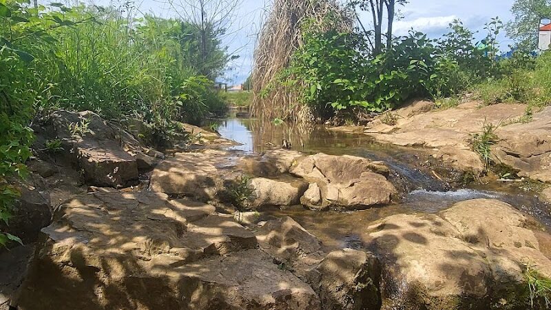 Midland Dog Park - Gainesville, GA