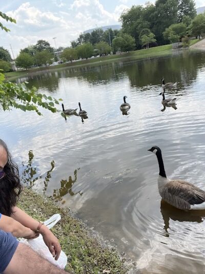 Midland Dog Park - Gainesville, GA