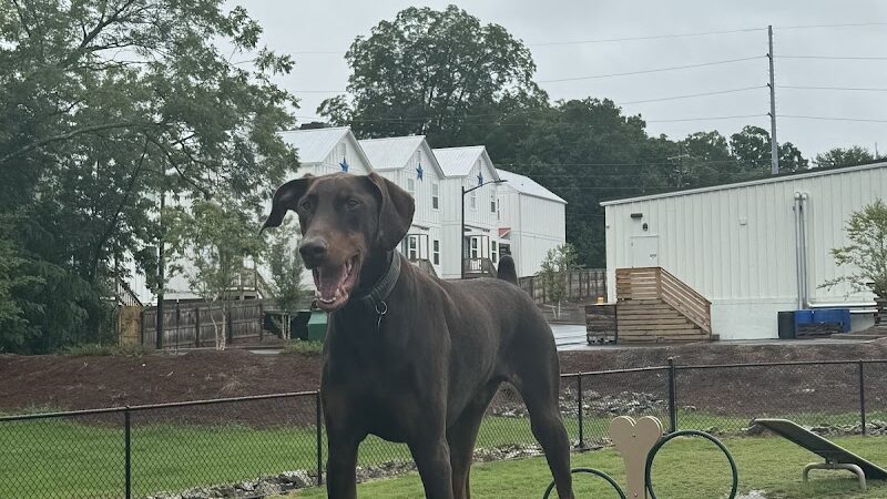 Midland Dog Park - Gainesville, GA