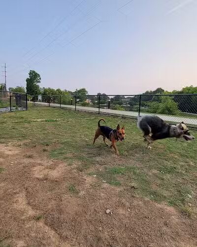 Midland Dog Park - Gainesville, GA