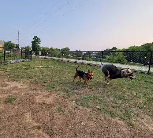 Midland Dog Park - Gainesville, GA