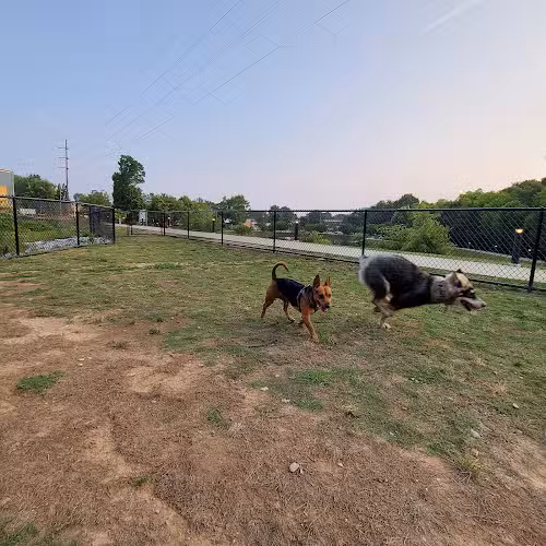 Midland Dog Park - Gainesville, GA